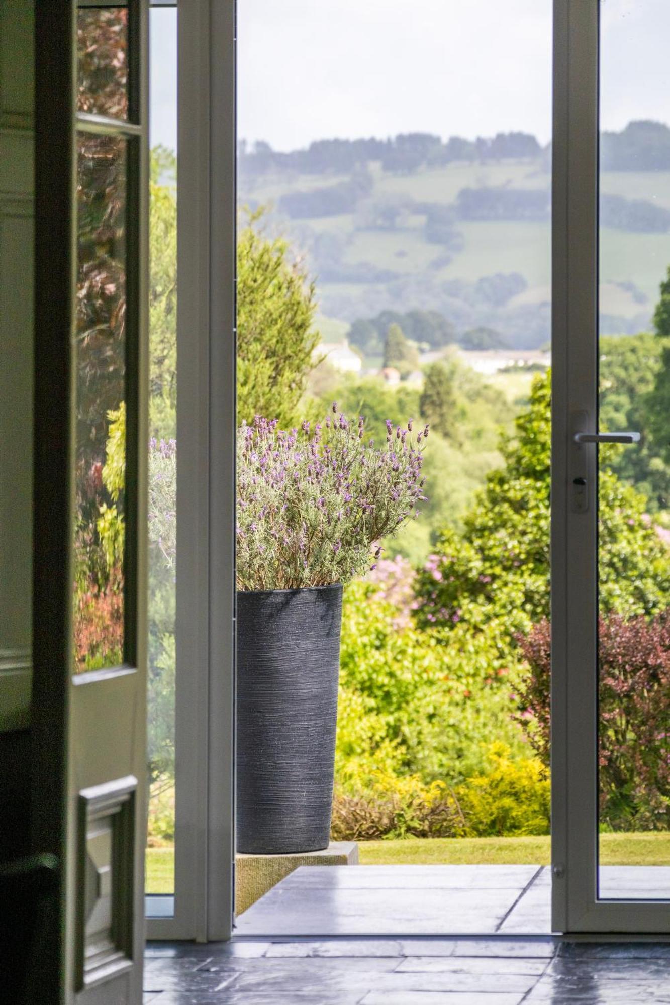 The Falcondale At Lampeter Exteriér fotografie