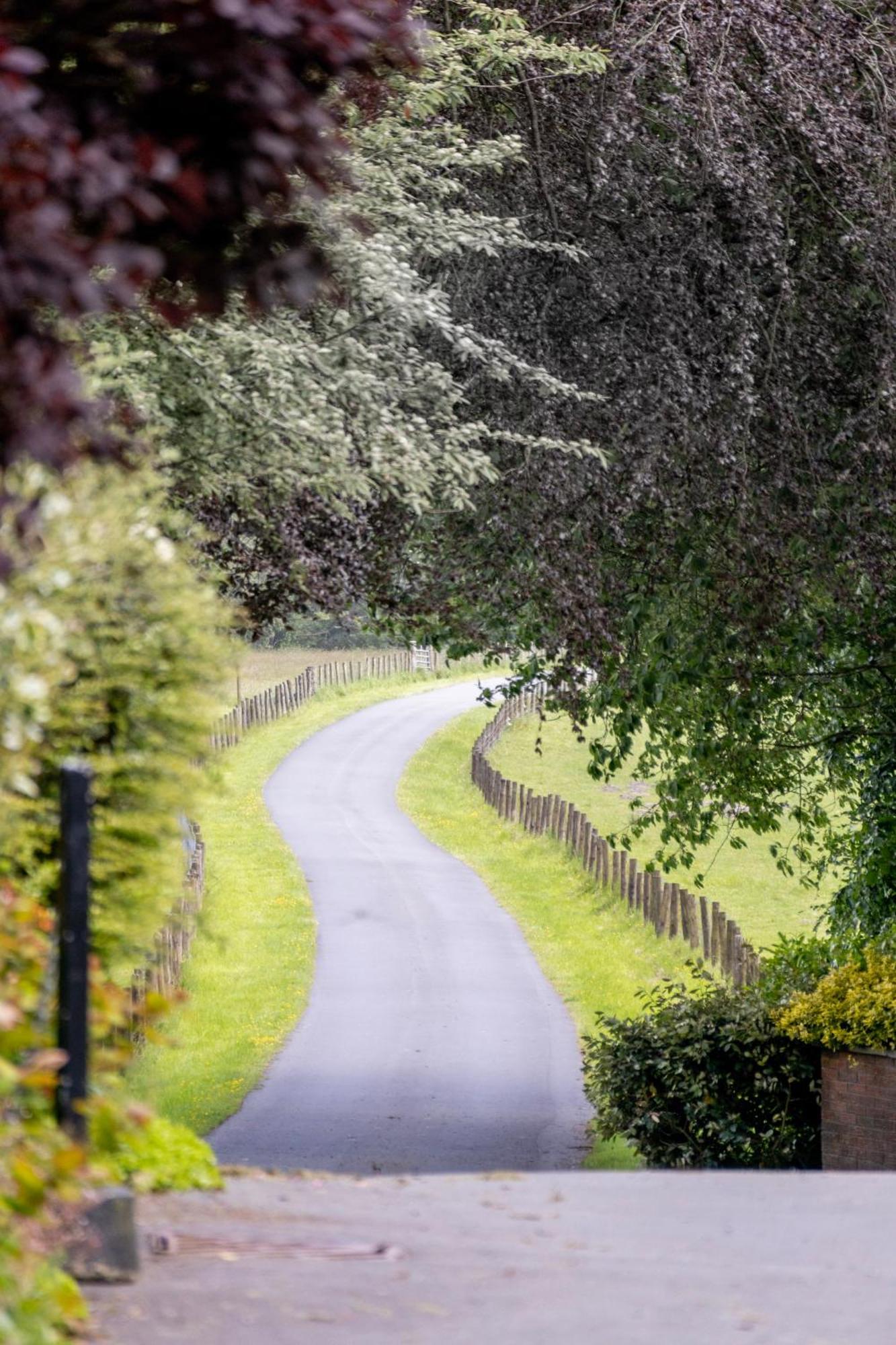 The Falcondale At Lampeter Exteriér fotografie